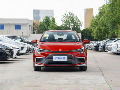 2024�� ���ܵ��˫�� 2.0L ������