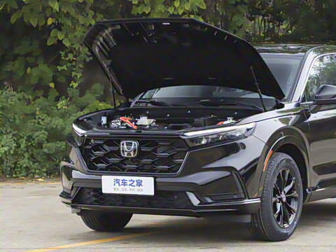 2026�� ȫ��30����ҫ�� 2.0L e:HEV �������