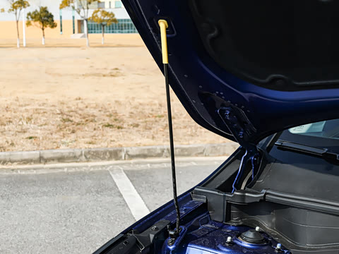 2026�� ����������