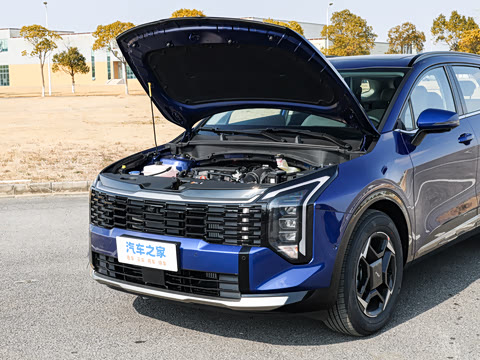 2026�� ����������