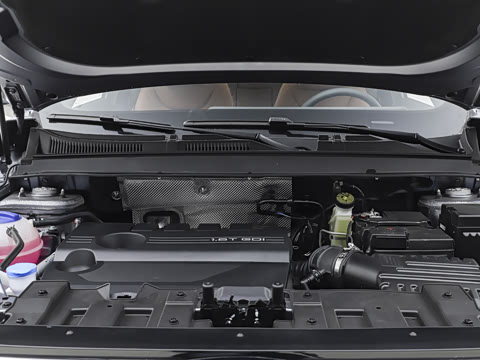 2027��  310TGDI �Ƿ��ھ�������