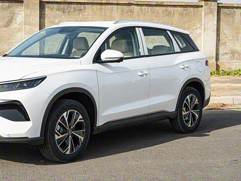 2026�� DM-i 133KM��ȡ��