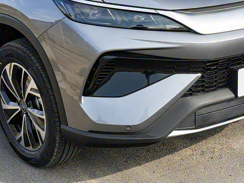 2026�� DM-i 133KM��ȡ��