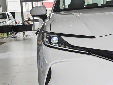 2026�� 2.0GVP ������