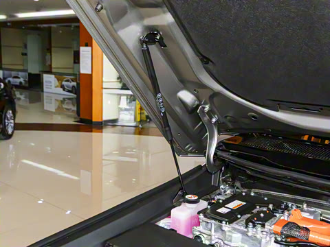 2026�� OVERTRAIL Զ��PRO