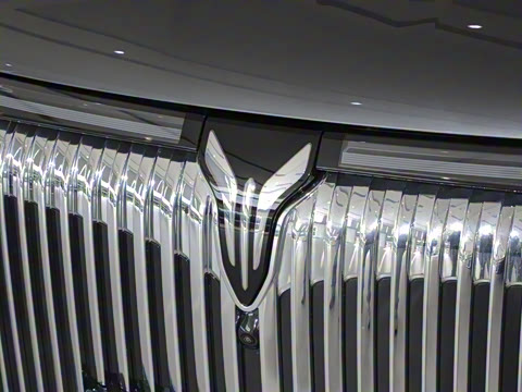 2025�� EV �������������