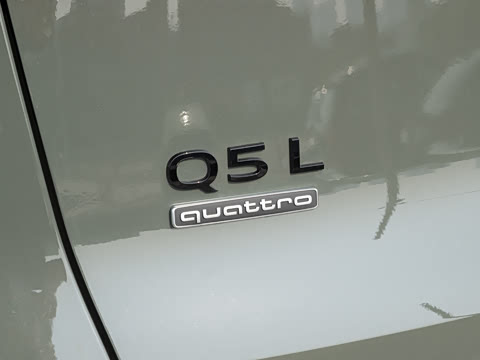 2026�� �ǻ�������