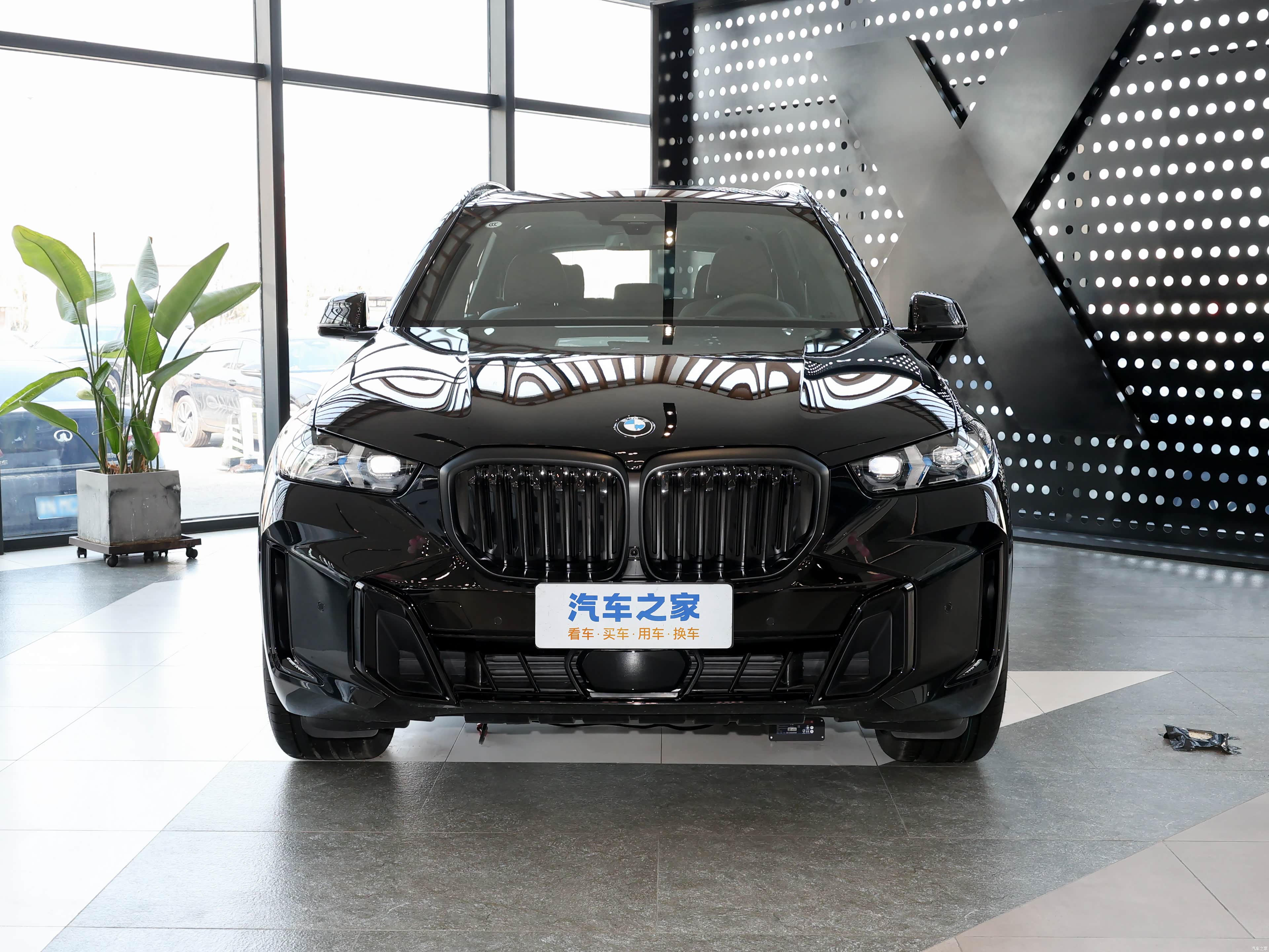 BMW X5, миниатюра 10