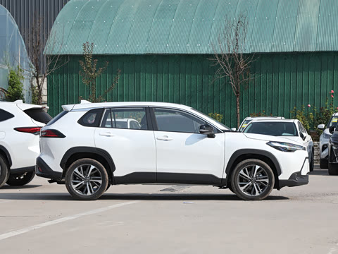 2026�� 2.0L ���ܵ��˫�� ����PLUS��