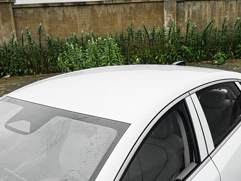 2027�� EV 530KM������