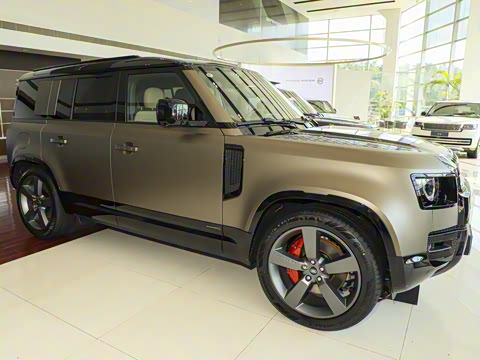 2025�� 110 3.0T P400 X