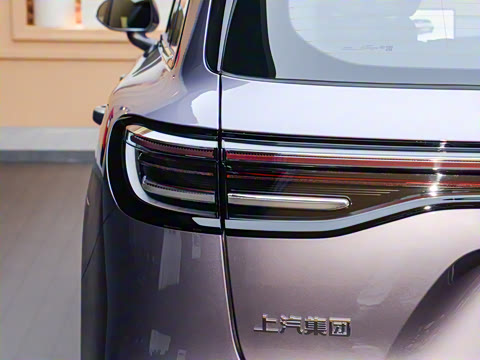 2025�� ���� Max