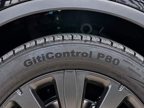 2025�� �Ǽݰ� DM-i 175KM ������