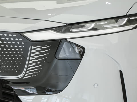 2025�� ����600�����˶���