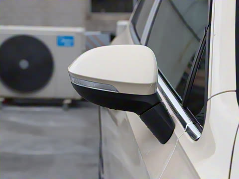 2025�� �Ŀ� 300TSI Pro