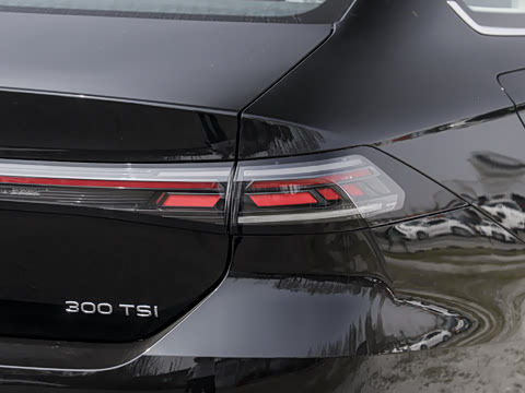 2026�� L 300TSI DSG ������