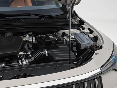 2026�� 1.5L �����