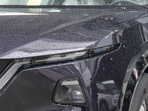 2025�� ����600 Pro