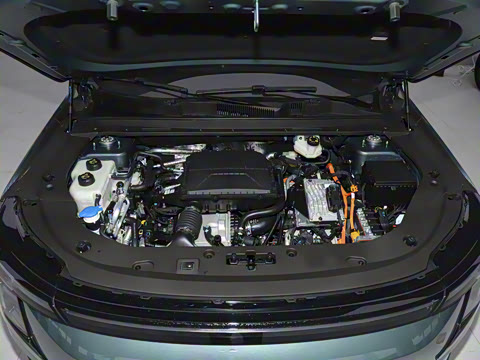 2026�� 121km ���ʰ� 5��