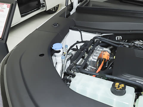 2025�� 205km Pro+�����״��