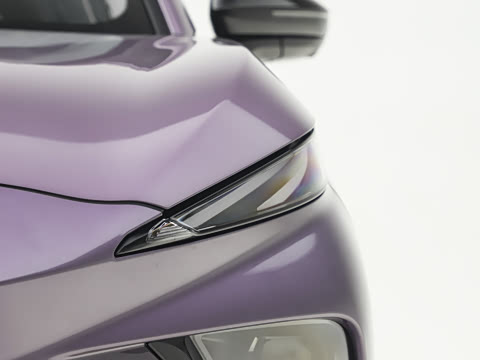 2026�� ������