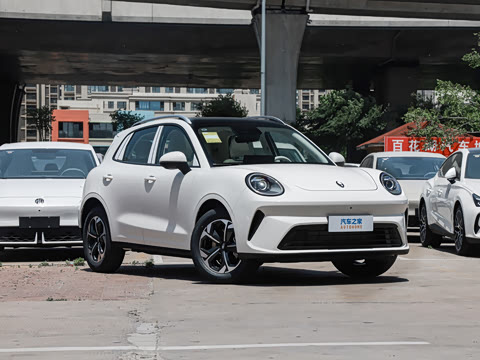 2026�� 1.5T  Max��