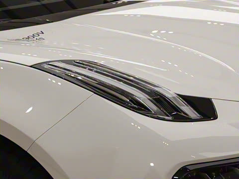 2026��   95������ Max��