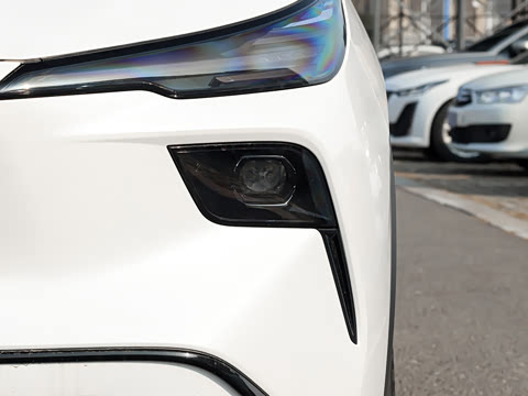 2026�� 565km ������