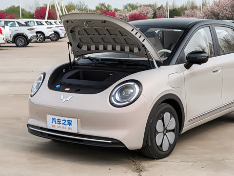2026�� 330km ������