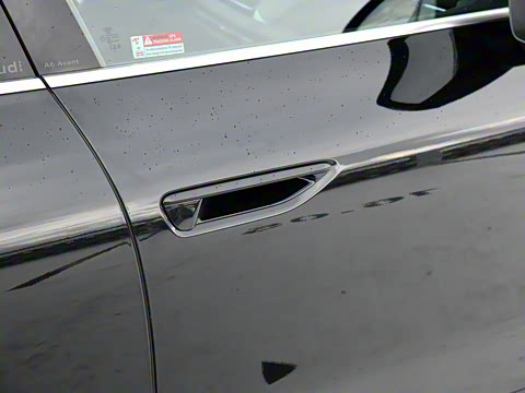 2025�� Avant �����