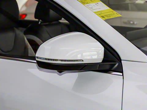 2026�� 280TSI �Զ������