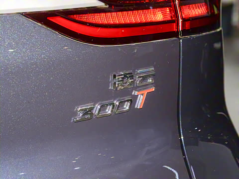 2025�� 300T ������ҹ��