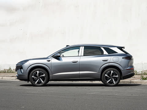 2026�� DM-i 310Զ����
