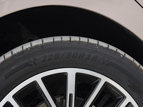 2025�� 600������