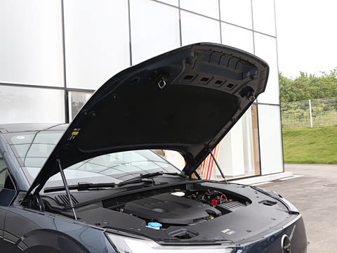 2026�� ������������Plus