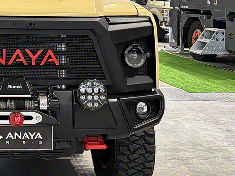 2025�� �����