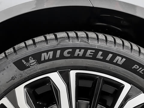 2026�� �������̳����