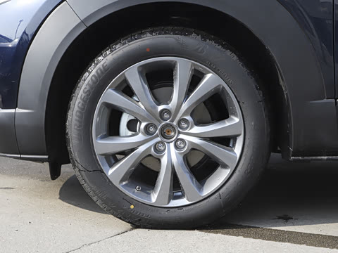 2025�� 2.0L �Զ�������