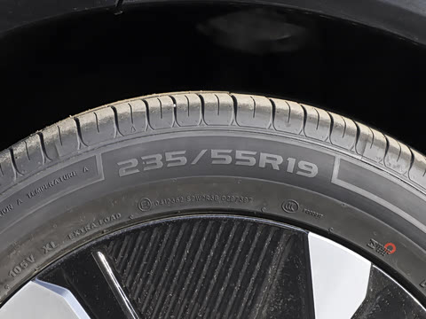 2026�� ����600 Pro