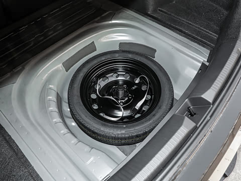 2026�� 300TSI DSG�ǿ����Ȱ�