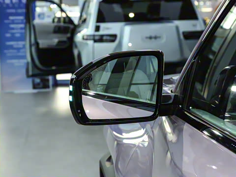 2025�� 501KM ����Max��