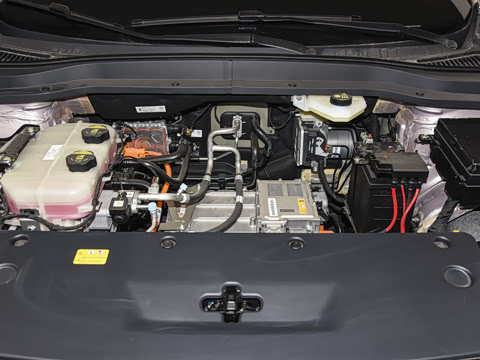 2025�� 565km ������