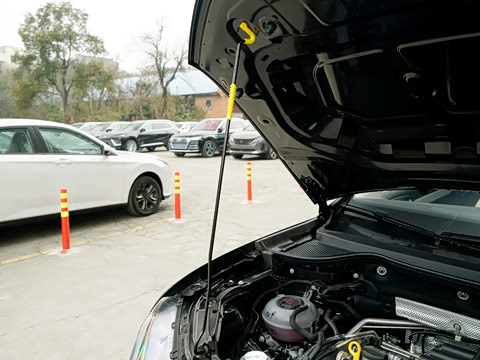 2026�� 280TSI �Զ�����Plus��