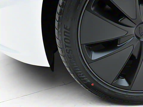 2025�� �Ŀ� ����������������