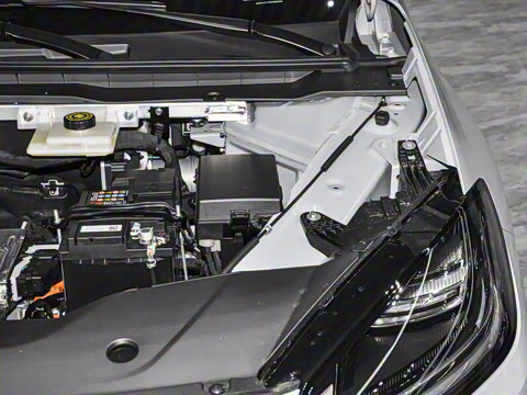 2026�� 520�Ǻ���