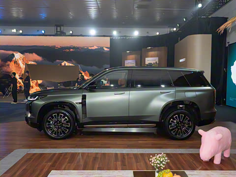 2025�� 205km Pro+�����״��