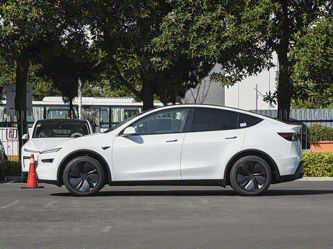 2026�� ����������������