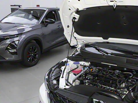 2025�� 1.5L CVT ���򾭵��