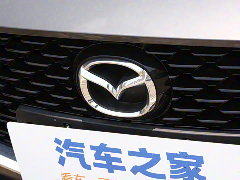 2025�� 2.0L �Զ���ҫ��