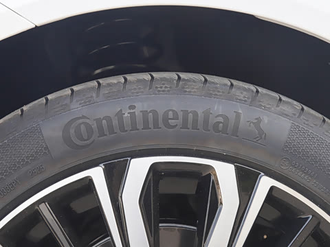 2026�� �������̼�����